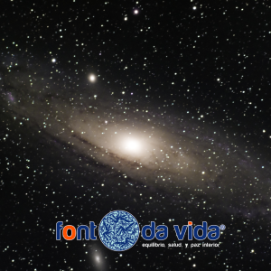 Kit de Supervivencia Astrológica